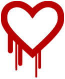 Heartbleed Bug