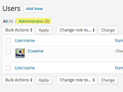 WordPress Admin Users