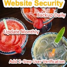 Website Security in 3 Seconds