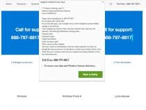 Windows Virus Scam Website