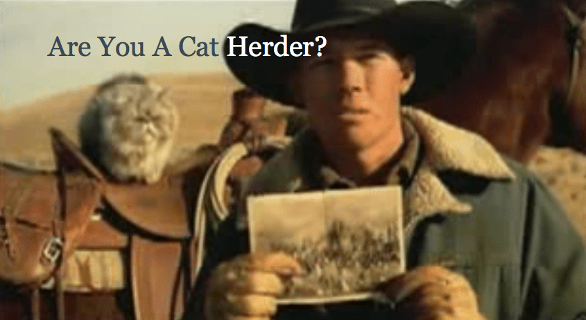 Cat Herder Security