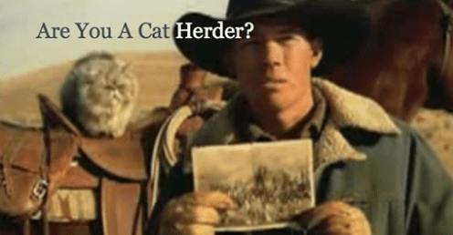 Are You A Cat Herder?