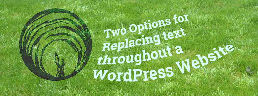 Two Options for Replacing text throughout a WordPress Website