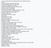 Example list of hacker files littered throughout a compromised website.