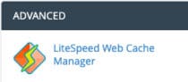 litespeed web cache manager